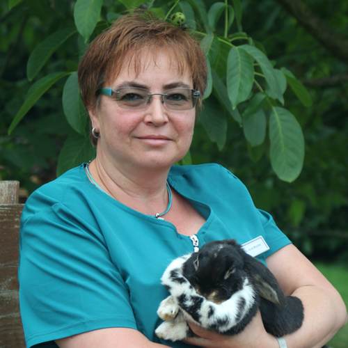 Tierärztin Dr. Anne Mischke