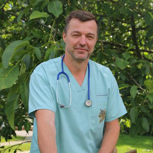 Tierarzt Dr. Andre Mischke Tierarzt Dr. Andre Mischke