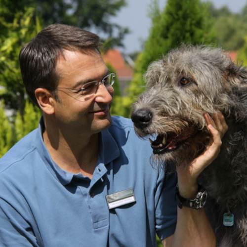 Tierarzt Dr. Martin Wenzel Tierarzt Dr. Martin Wenzel