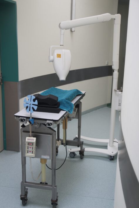 Detalroentgen bei Hund und Katze